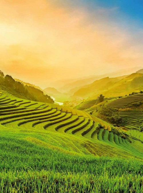 5032 4 wizard genius terraced rice field in vietnam Fotomural Tejido No Tejido 192x260cm 4 Tiras | Yourdecoration.es