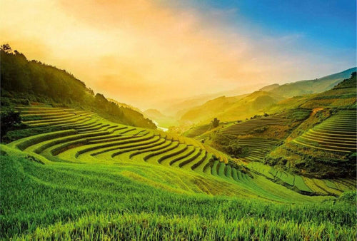 5032 8 wizard genius terraced rice field in vietnam Fotomural Tejido No Tejido 384x260cm 8 Tiras 23cd21db 1709 4e2f 82f7 e82a2bcd2937 | Yourdecoration.es
