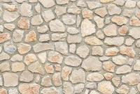 5197 8 wizard genius natural stone wall i Fotomural Tejido No Tejido 384x260cm 8 Tiras c88dfa11 3f54 4d3c 9456 9474dcaf0e92 | Yourdecoration.es