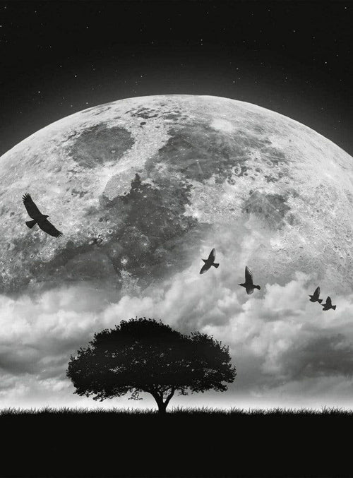 5464 4 wizard genius moon and birds Fotomural Tejido No Tejido 192x260cm 4 Tiras | Yourdecoration.es