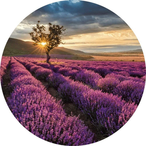 5484 r wizard genius lavender in the provence Fotomural Tejido No Tejido 140x140cm Redondo | Yourdecoration.es
