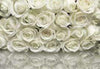 8 314 komar a la rose Fotomural 368x254cm 8 Partes | Yourdecoration.es