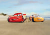 8 4100 komar cars beach race Fotomural 368x254cm 8 Partes | Yourdecoration.es