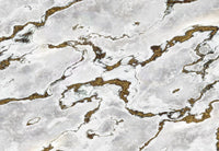 8 981 komar marmoro Fotomural 368x254cm 8 Partes | Yourdecoration.es