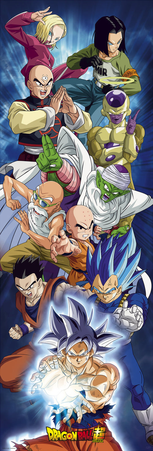 Póster Dragon Ball Super Door Group 53x158cm