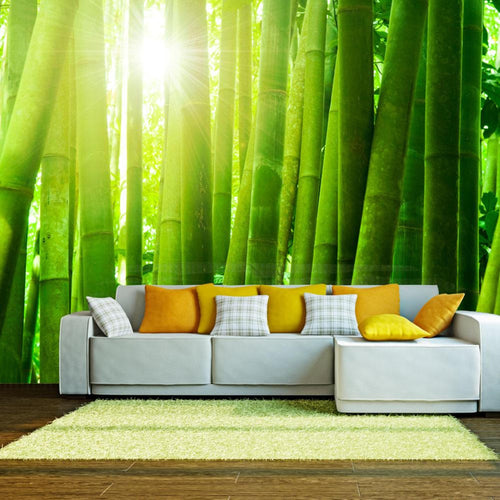Artgeist Zon en Bamboe Fotomural Tejido No Tejido Ambiente | Yourdecoration.es