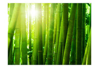 Artgeist Zon en Bamboe Fotomural Tejido No Tejido | Yourdecoration.es