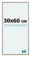 Austin Aluminio Marco De Fotos 30x60cm Champan Delantera Tamano | Yourdecoration.es
