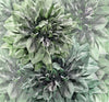 Komar Fotomural Tejido No Tejido Inx6 036 Emerald Flowers | Yourdecoration.es