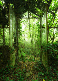 Komar Fotomural Tejido No Tejido Shx4 158 Greenhouse | Yourdecoration.es