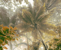 Komar Palms Panorama No Tejido Fotobehang 300x250cm 3 tiras | Yourdecoration.es