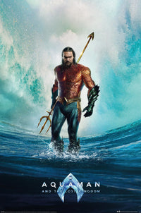 Póster Aquaman and The Lost Kingdom 61x91 5cm Pyramid PP35066 | Yourdecoration.es