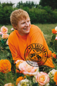 Póster Ed Sheeran Rose Field 61x91 5cm Abystyle GBYDCO396 | Yourdecoration.es