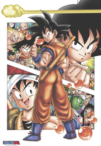 Dragon Ball Db Son Goku Story Póster 61X91 5cm | Yourdecoration.es