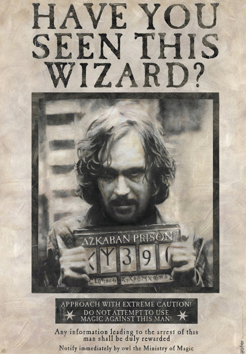Harry Potter Wanted Sirius Black Póster 61X91 5cm | Yourdecoration.es