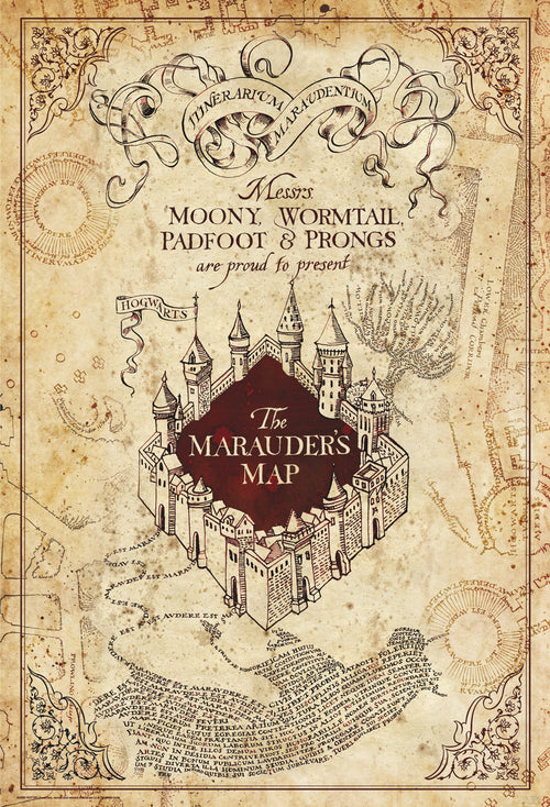 Harry Potter Maurauders Map Póster 61X91 5cm | Yourdecoration.es