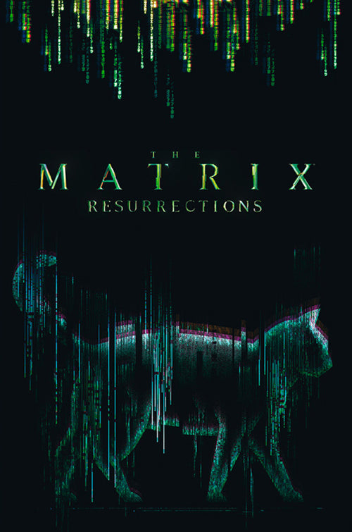 Abystyle Abydco864 The Matrix Cat Póster 61x91,5cm | Yourdecoration.es