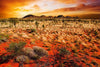 dimex australian landscape Fotomural Tejido No Tejido 375x250cm 5 Tiras 22217b03 761a 4e35 9cc0 fde9130074df | Yourdecoration.es