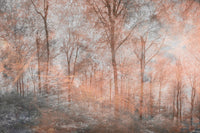 dimex colorful forest abstract Fotomural Tejido No Tejido 375x250cm 5 Tiras | Yourdecoration.es