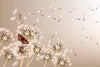 dimex dandelions and butterfly Fotomural Tejido No Tejido 375x250cm 5 Tiras 1ad4061b 91d6 4317 b84a a87b2e978035 | Yourdecoration.es