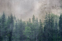 dimex forest abstract Fotomural Tejido No Tejido 375x250cm 5 Tiras | Yourdecoration.es