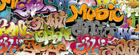 dimex graffiti art Fotomural Tejido No Tejido 375x150cm 5 Tiras 91d878df fea6 4436 ab35 f9409349a7b6 | Yourdecoration.es