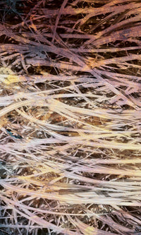 dimex hay abstract i Fotomural Tejido No Tejido 150x250cm 2 Tiras | Yourdecoration.es