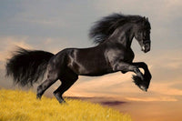 dimex horse Fotomural Tejido No Tejido 375x250cm 5 Tiras b99bfa34 c1df 4b58 bcf4 f5be14ebd737 | Yourdecoration.es