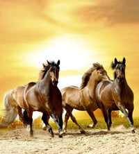 dimex horses in sunset Fotomural Tejido No Tejido 225x250cm 3 Tiras af683011 ed67 4c92 ae7c 38bc6f93208e | Yourdecoration.es