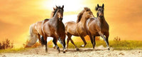 dimex horses in sunset Fotomural Tejido No Tejido 375x150cm 5 Tiras ac9b045c 53ff 4665 b540 833b8c813c19 | Yourdecoration.es