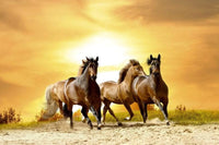 dimex horses in sunset Fotomural Tejido No Tejido 375x250cm 5 Tiras cf10b563 ad74 405f bd73 b36f6bd51849 | Yourdecoration.es