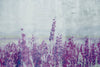 dimex lavender abstract Fotomural Tejido No Tejido 375x250cm 5 Tiras | Yourdecoration.es