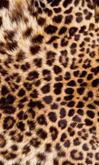 dimex leopard skin Fotomural Tejido No Tejido 150x250cm 2 Tiras f43a6f63 198c 42cf a0f3 9bf2d1fb7efb | Yourdecoration.es