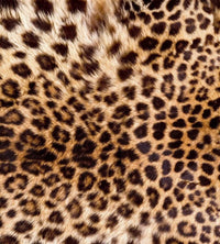 dimex leopard skin Fotomural Tejido No Tejido 225x250cm 3 Tiras f7a63bdc 0cec 41ab b738 061f3261dc72 | Yourdecoration.es