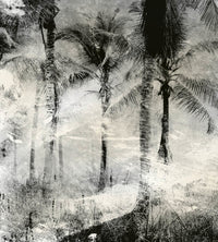 dimex palm trees abstract Fotomural Tejido No Tejido 225x250cm 3 Tiras | Yourdecoration.es