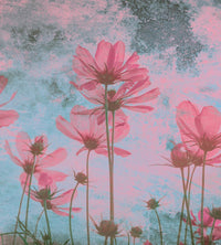 dimex pink flower abstract Fotomural Tejido No Tejido 225x250cm 3 Tiras | Yourdecoration.es