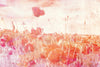 dimex poppies abstract Fotomural Tejido No Tejido 375x250cm 5 Tiras | Yourdecoration.es