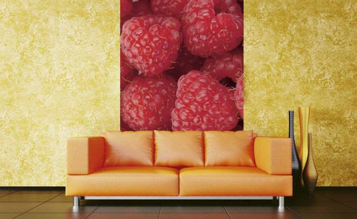 dimex raspberry Fotomural Tejido No Tejido 150x250cm 2 Tiras Ambiente b3dec1d7 eec7 4df6 b559 923ea4e815ca | Yourdecoration.es