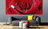 dimex red rose Fotomural Tejido No Tejido 375x150cm 5 Tiras Ambiente a62e87c0 3ebf 4dd5 a71c 9f0350f89e42 | Yourdecoration.es