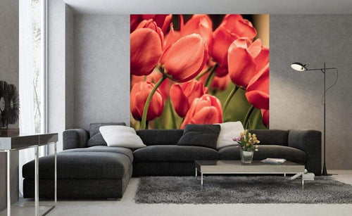 dimex red tulips Fotomural Tejido No Tejido 225x250cm 3 Tiras Ambiente 4864ce71 e23e 4809 9410 7be9f7d5cf36 | Yourdecoration.es