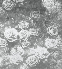 dimex roses abstract ii Fotomural Tejido No Tejido 225x250cm 3 Tiras | Yourdecoration.es