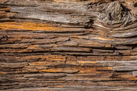 dimex tree bark Fotomural Tejido No Tejido 375x250cm 5 Tiras | Yourdecoration.es