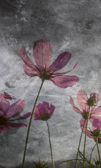 dimex violet flower abstract Fotomural Tejido No Tejido 150x250cm 2 Tiras | Yourdecoration.es