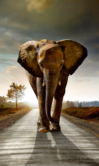 dimex walking elephant Fotomural Tejido No Tejido 150x250cm 2 Tiras | Yourdecoration.es