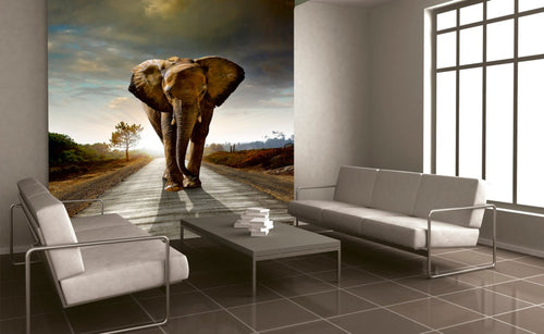 dimex walking elephant Fotomural Tejido No Tejido 225x250cm 3 Tiras Ambiente | Yourdecoration.es