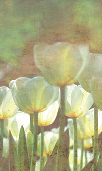 dimex white tulips abstract Fotomural Tejido No Tejido 150x250cm 2 Tiras | Yourdecoration.es