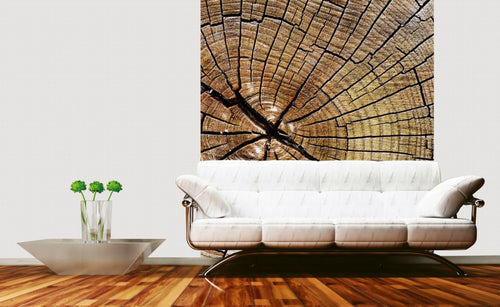 dimex wood Fotomural Tejido No Tejido 225x250cm 3 Tiras Ambiente | Yourdecoration.es