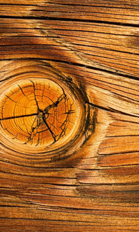 dimex wood knot Fotomural Tejido No Tejido 150x250cm 2 Tiras | Yourdecoration.es