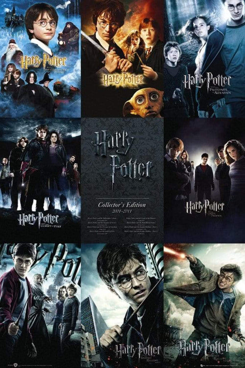 GBeye Harry Potter Collection Póster 61x91,5cm | Yourdecoration.es