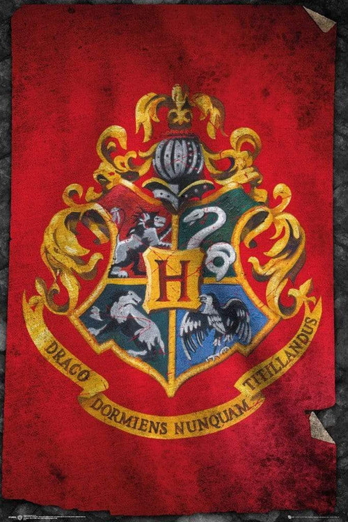 GBeye Harry Potter Hogwarts Flag Póster 61x91,5cm | Yourdecoration.es